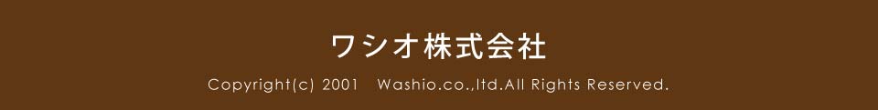 ワシオ株式会社　copyright(c) 2001 Washio.co.,ltd.All Rights Reserved.