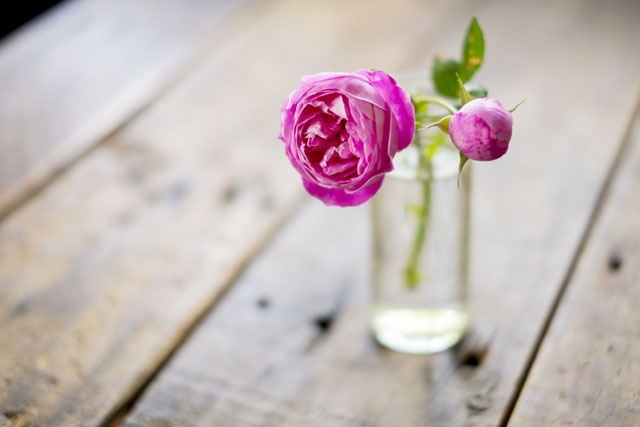 夏の生け花 長持ちする花やコツ 涼しげに見える方法 もちはだ本店